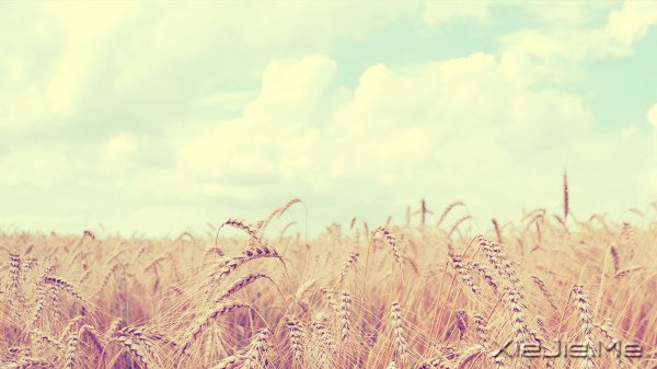 如果世界消失了,我会在天堂里爱你