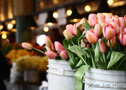 ���㶮�ã�������ϧ (4)