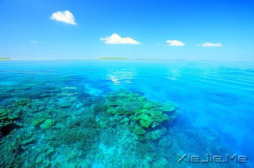 无论发生什么,先善待自己 (5)