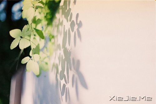 成熟,不是看破,而是看淡 (2)