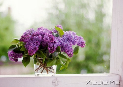 有的人你看了一眼,却惦念了一生 (2)