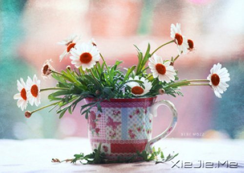 有的人你看了一眼,却惦念了一生 (7)