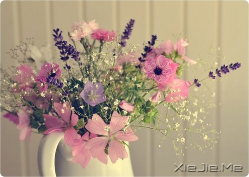 ������һ�ױ��������ĸ裬���Ƕ����Ǹ�������� (7)