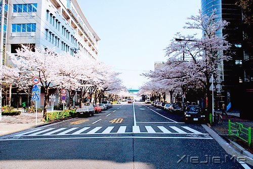 ·���ഺһ���ӣ��������ǳһ���� (6)