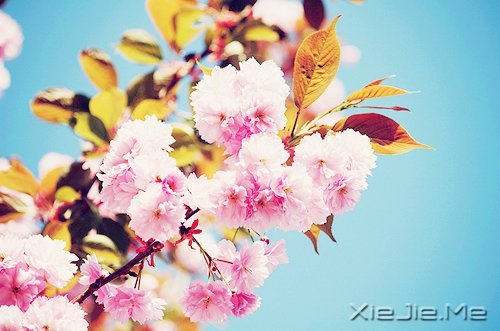 只要内心不乱,外界就很难改变你什么 (1)