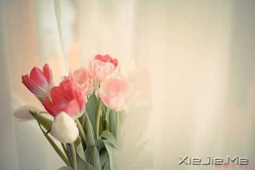 �ˣ�����Ҫ�����ģ���ĳ��ʱ�� (1)