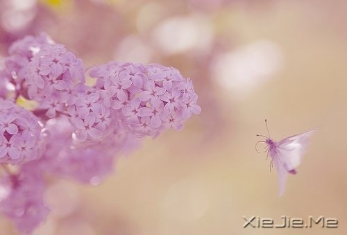 �����������������������Į (3)