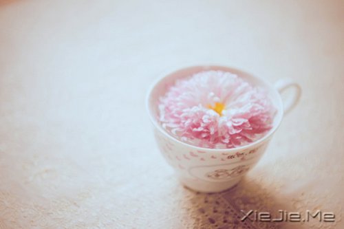 ����Ĺ¶�����һƬ�ڰ���������ֻ�ܿ����Լ� (9)