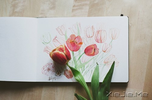 晚安心语:只有想不通的人,没有走不通的路 (3)