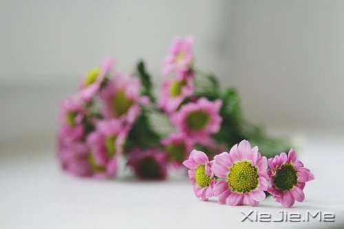 �簲������ʱ����Ե��ˣ�һ��Ҳ�Ͳ������ (6)