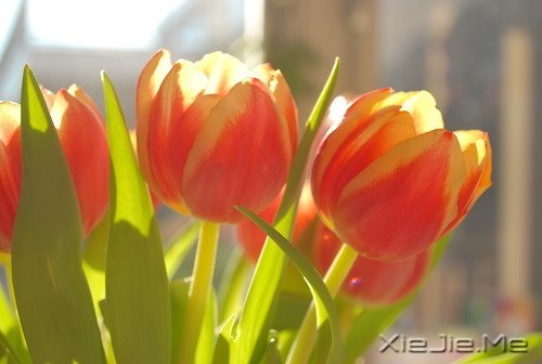 ���µģ��������� (8)