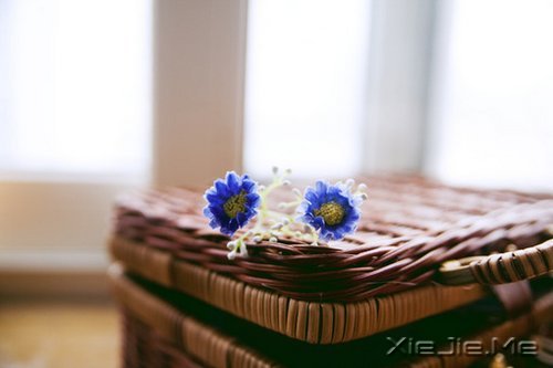 �����������һ������������Ī�������� (6)