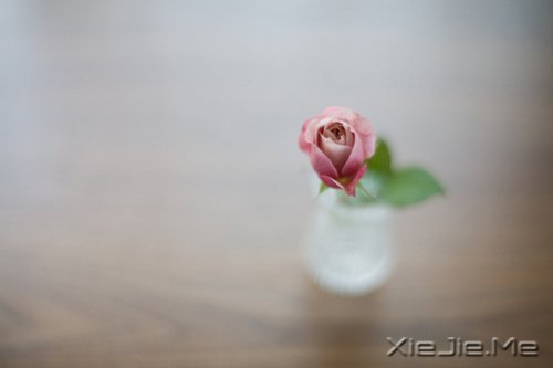 �����������ø��ã���Ϊ���Լ� (8)