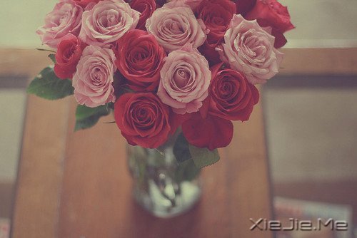 早安心语:我们总是在别人的故事里,流着自己的眼泪 (6)