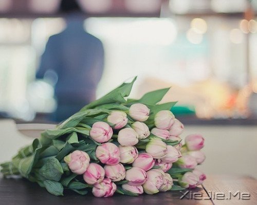 �������ѡ��������£�ڹ�Ϳ��������� (7)