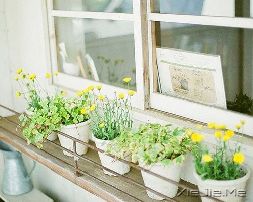 �������ѡ��������£�ڹ�Ϳ��������� (8)