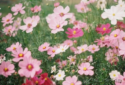 ���ʱ����Ե��ˣ�һ��Ҳ�Ͳ������ (9)