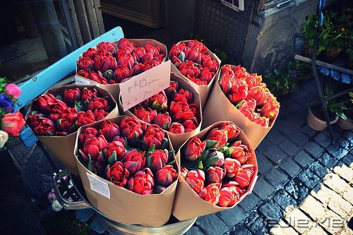 ������ᣬȴ���ӵ�з������������ (4)