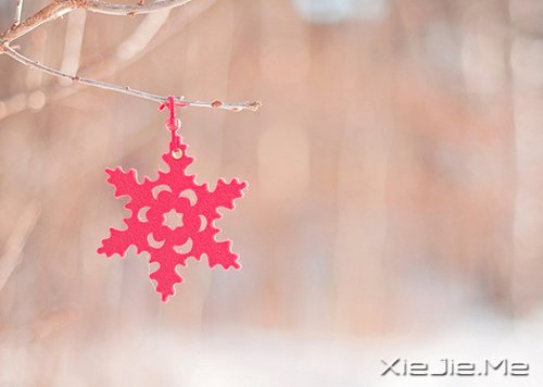 ������������ʱ����������Ӧ���Ǽ�ǿ (1)