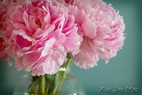 ��ɽ��ˮԶ�ĵ�·���վ���Ҫ�Լ�����ȥ (5)