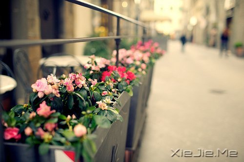 ��ɽ��ˮԶ�ĵ�·���վ���Ҫ�Լ�����ȥ (9)