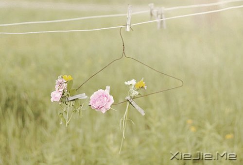 ���Լ�ϲ�������ϲ���Լ��������� (4)