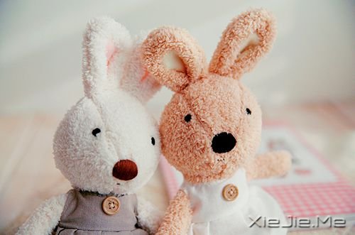 早安心语:若要梦想实现,先从梦中醒来 (8)