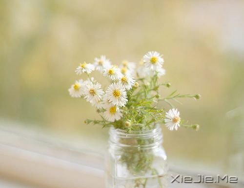 早安心语:人生,就是你一个人的人生 (2)