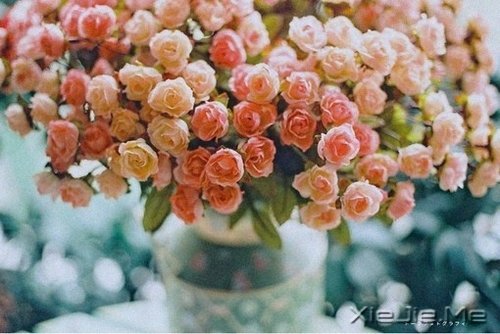 早安心语:宠爱自己,才是最重要的 (5)