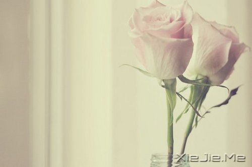 ��δ���������������ǰ�һ���׸����� (4)