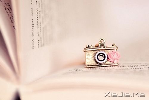 ���������õ��Ҹ�����������ں� (2)