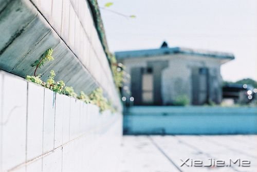 �簲�����Ȼ����������һ�ֳɳ� (7)