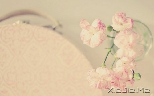 �簲��������������ˣ��Լ����Ƿ羰 (4)