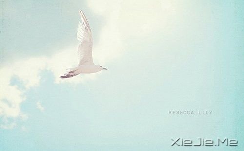 �簲����е�·��Ҫ��ȥ�� (6)