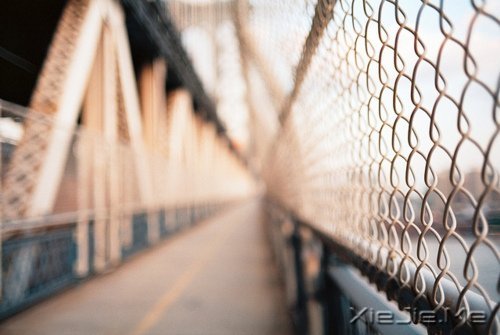 ���������������ʲô̬�ȣ�����һ������� (6)