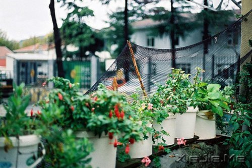 �簲���������Ҳ��ǿ������� (7)