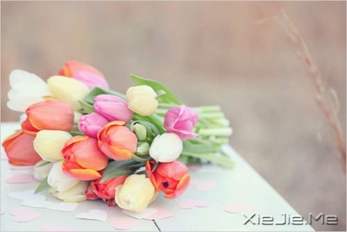 早安心语:我希望你永远都能找到让自己微笑的理由 (1)