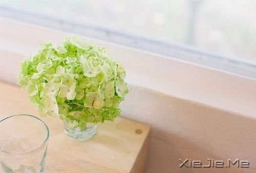 ���������Ҫ��Ϊһʱ���ķ�������һ���ӵ�ɵ�� (10)