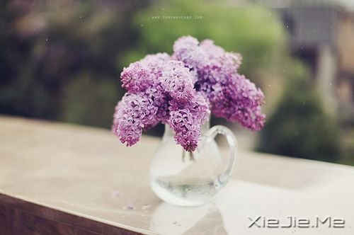 晚安心语:总有一次哭泣,让人瞬间长大 (1)