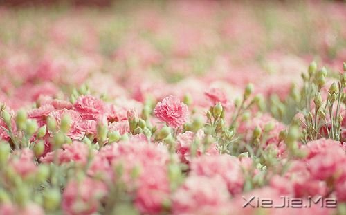 晚安心语:总有一次哭泣,让人瞬间长大 (10)