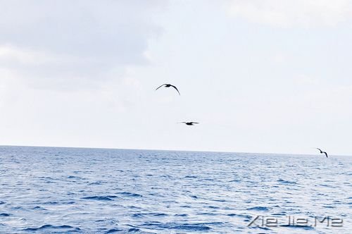 �簲������ķ��򣬸��ʺϷ��� (6)