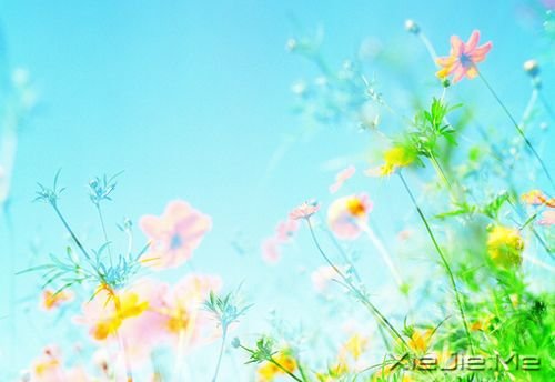 早安心语:生活总会给你另一个机会,这个机会叫明天 (1)