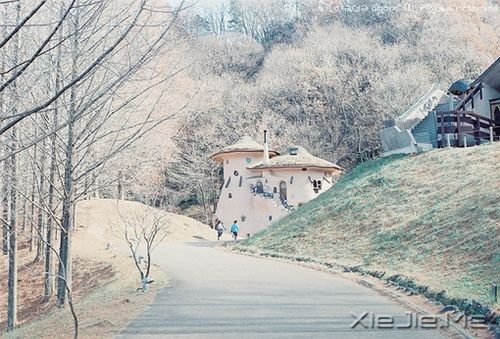 �簲����:�Լ���Ц�ݲ��������ķ羰 (5)