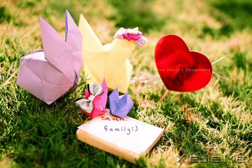 �簲��������Լ���������ֱ�� (9)