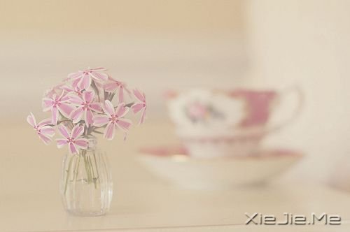 ������������Լ����ģ��������沨���� (10)