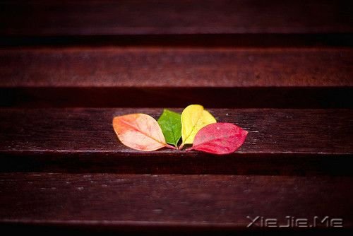 ��������������������δ�� (7)