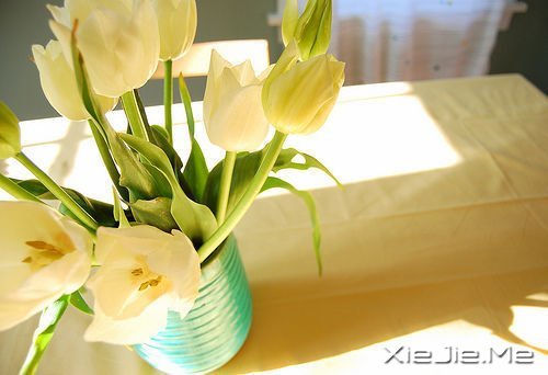 û��ʲô����һ�������㣬����û��ʲô��һ�ξʹ���