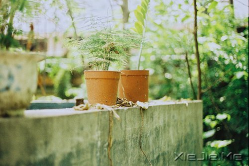 经典语录:一个人的天荒地老 (2)