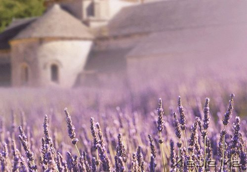 经典语录:一个人的天荒地老 (14)