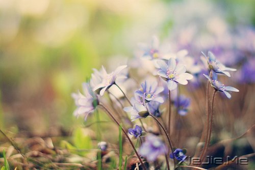 ��������ȫ�����㻹�ᰮ����